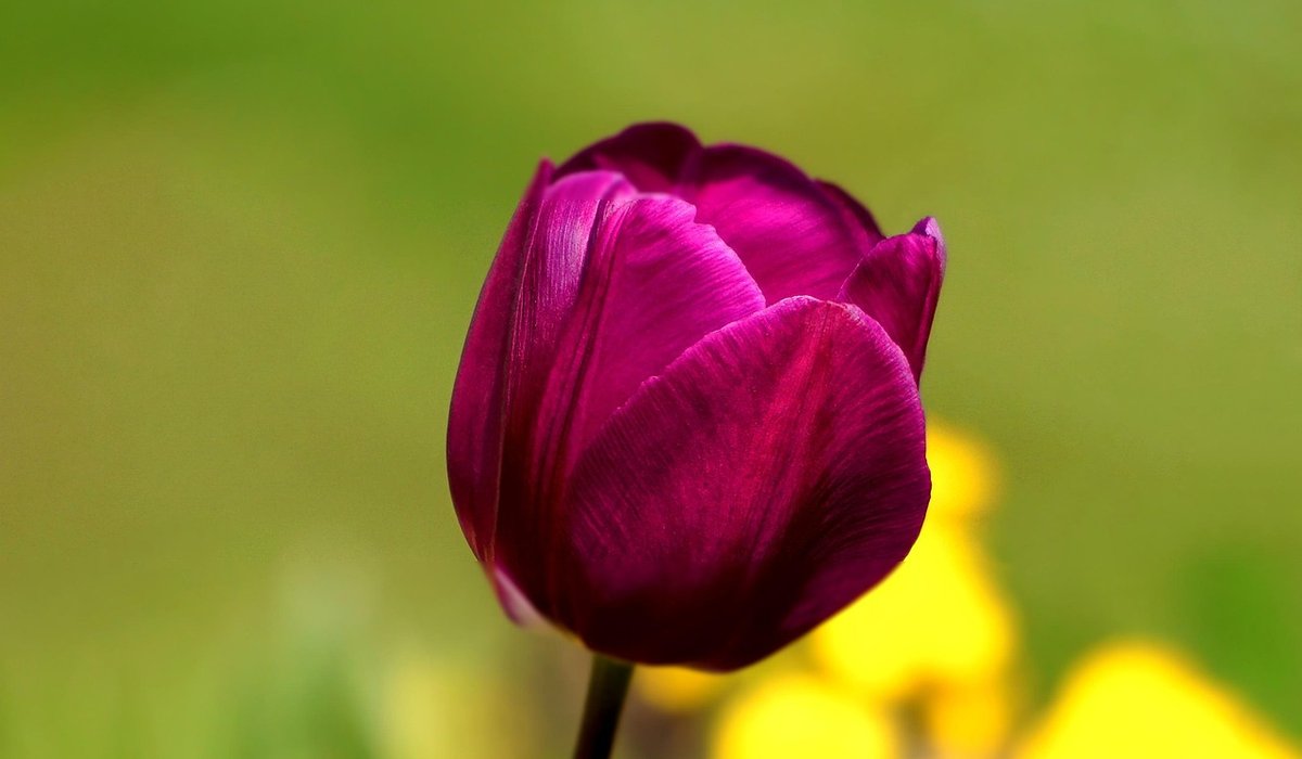 post-title